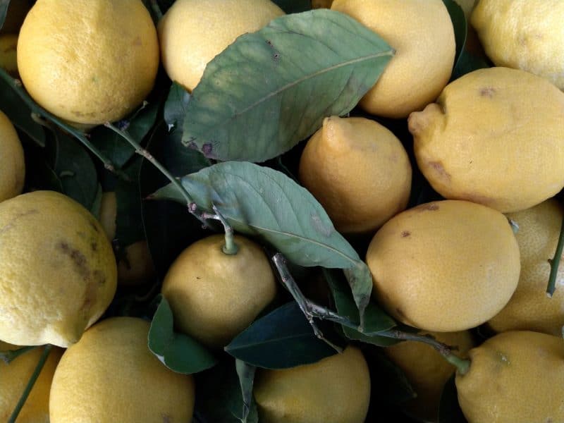 Limoni Gialli prima scelta BIO CERTIFICATI AVOLA (SR)