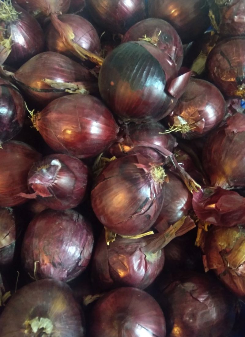 Cipolle rosse Toscana