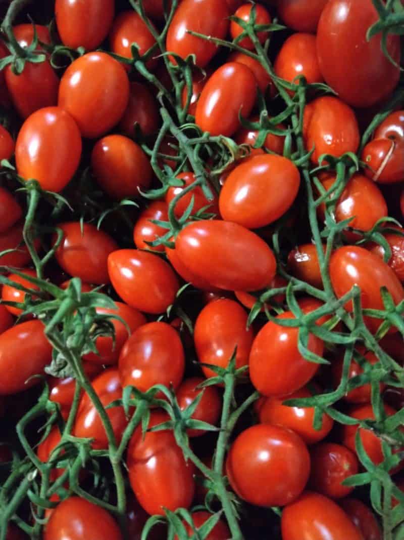 Pomodorino Datterino Rosso dolcissimo Sicilia