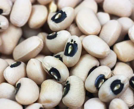 Fagioli secchi: Fagioli con Occhio