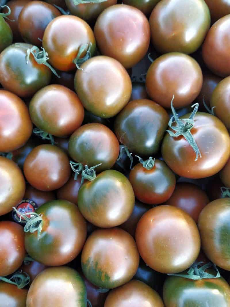 Pomodoro Camone Sicilia