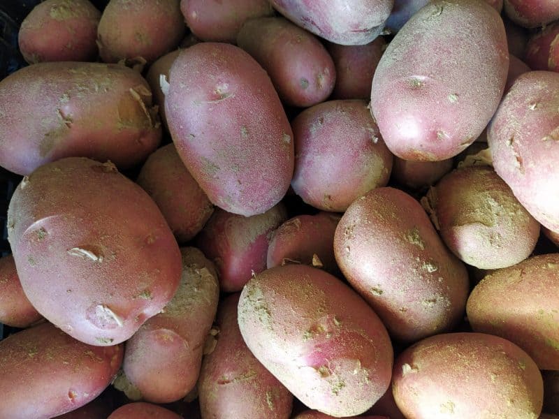 Patate Rosse Nuove 2025 Cascina (pasta gialla)!!