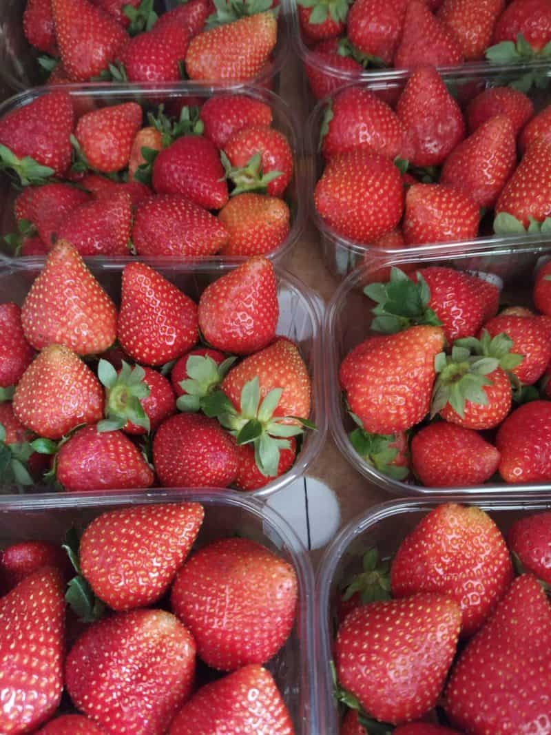 Fragole Trentino, le uniche veramente buone e profumate al momento!!