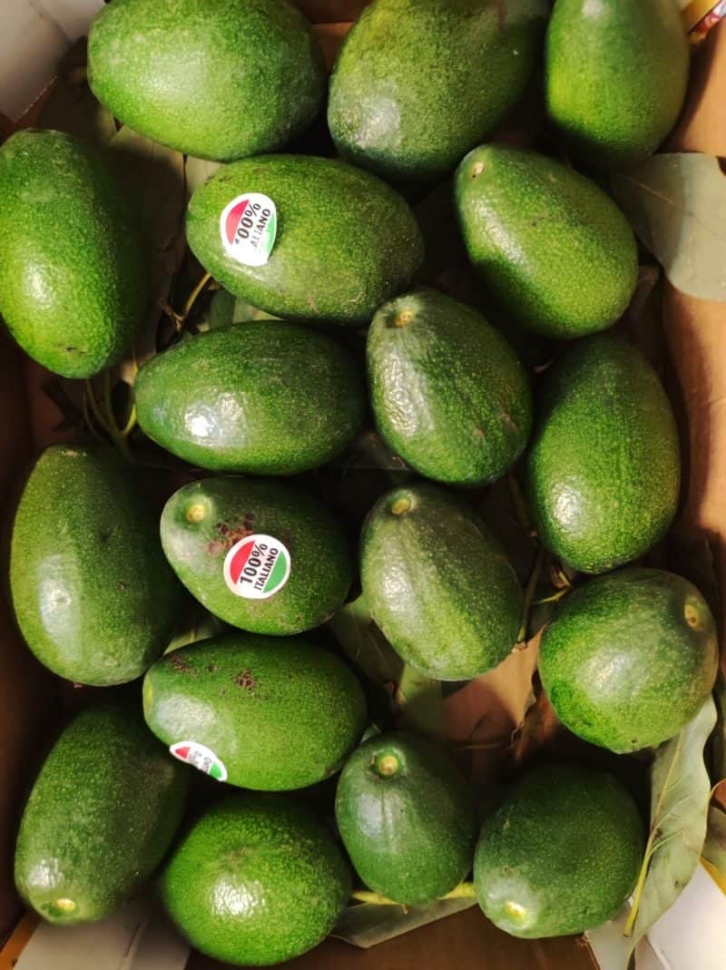 Avocado "Haas" tutta polpa