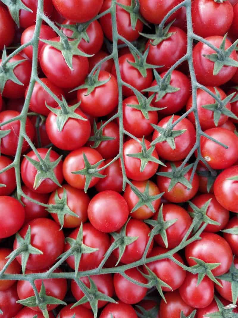 Pomodorino Ciliegino nuovo Sicilia