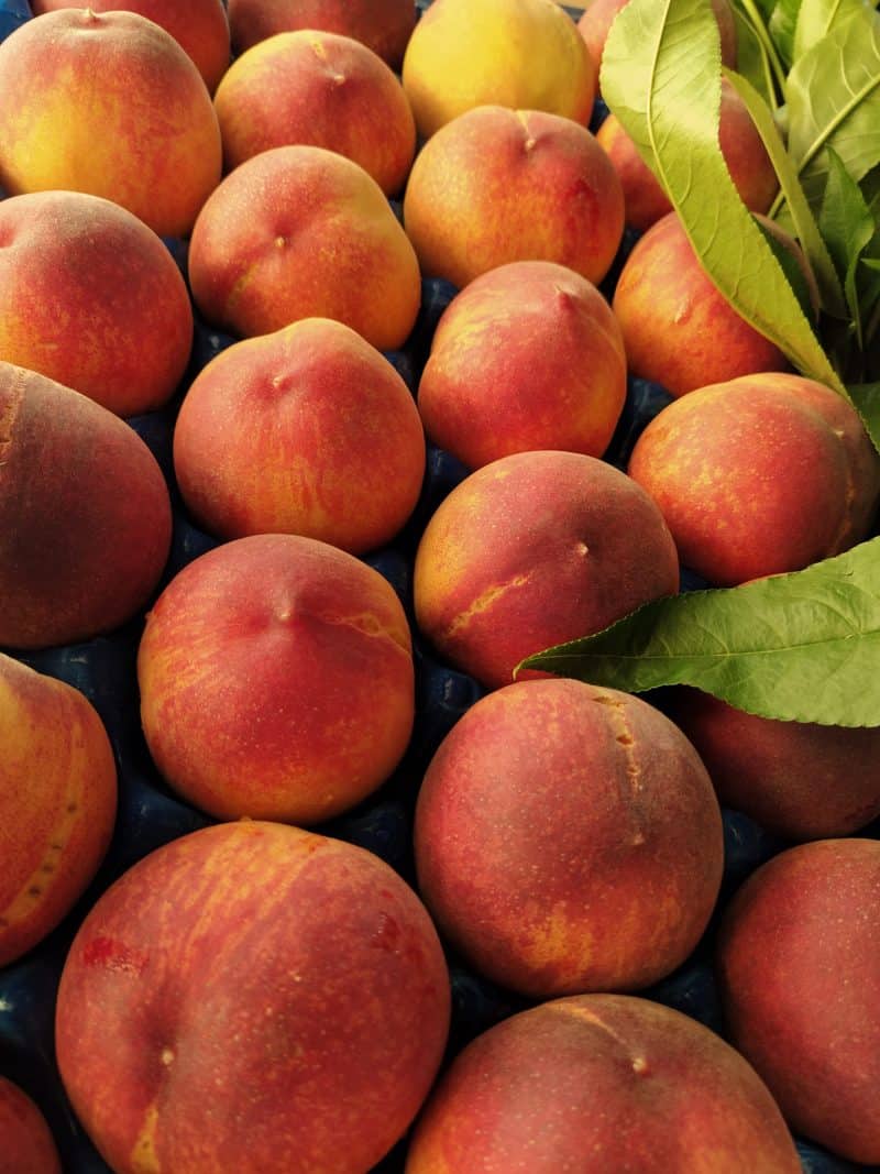 Prime Pesche Gialle Basilicata