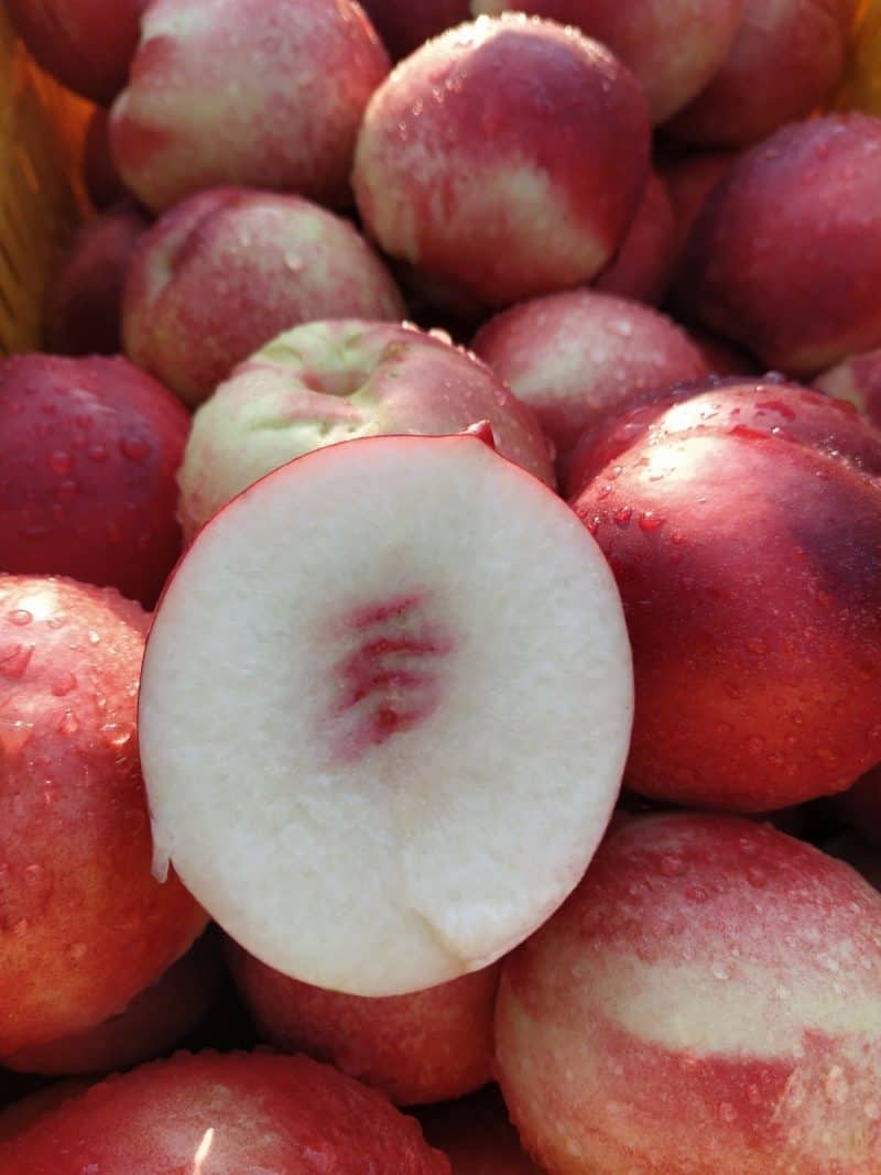 Pesche Noci Bianche Km0 (Speciali!)