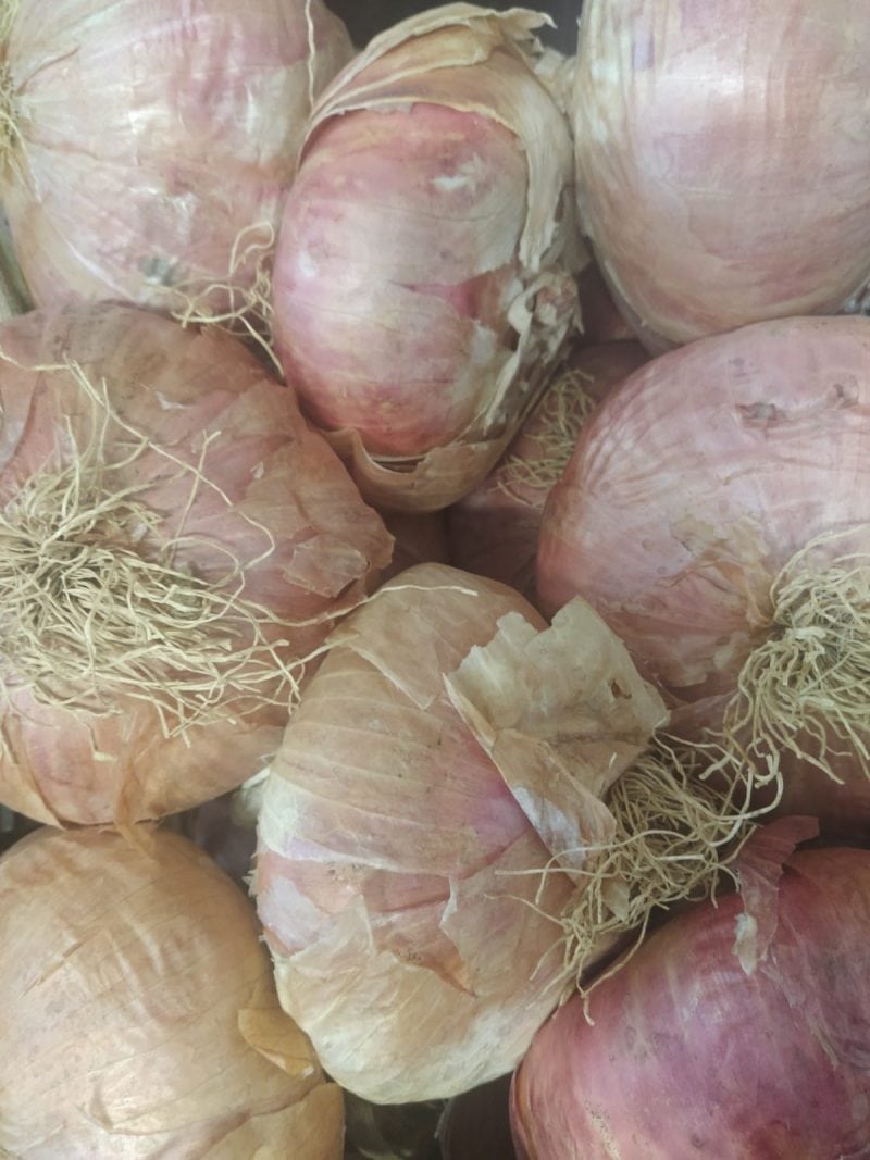 Cipolle di Certaldo dolcissime