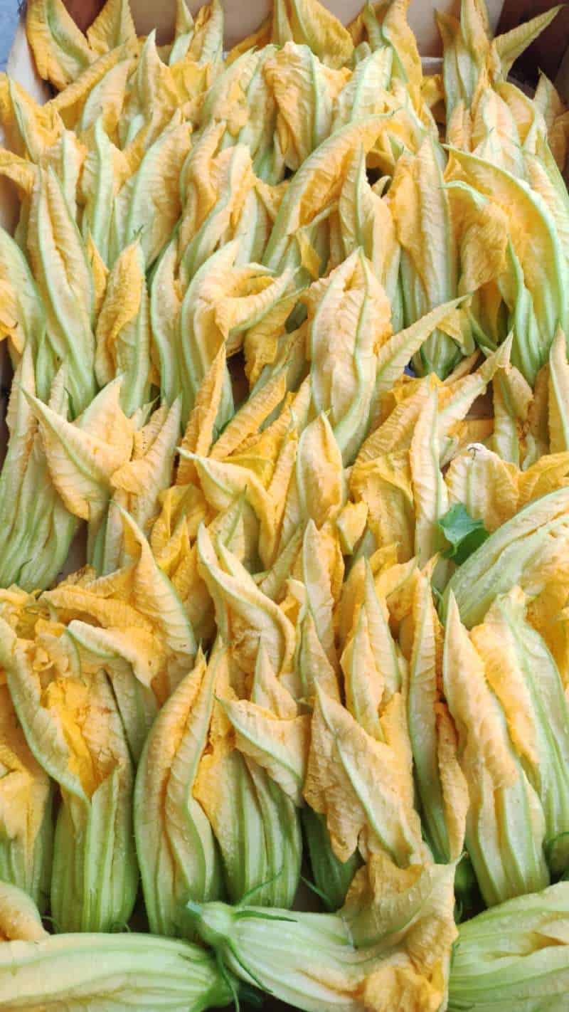 Fiori di zucca freschi nostra produzione!!