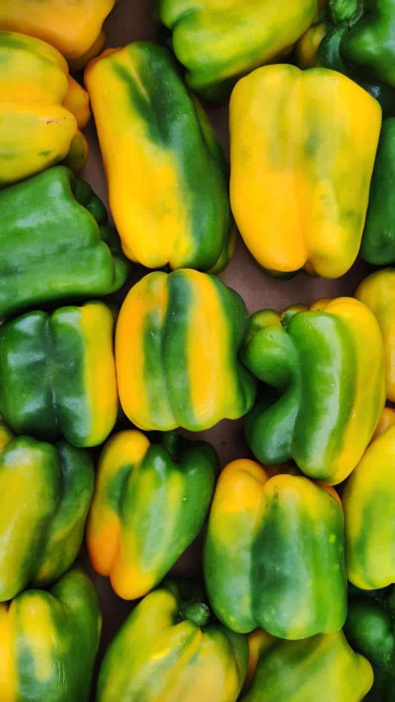 Peperoni Gialli prima scelta Sicilia