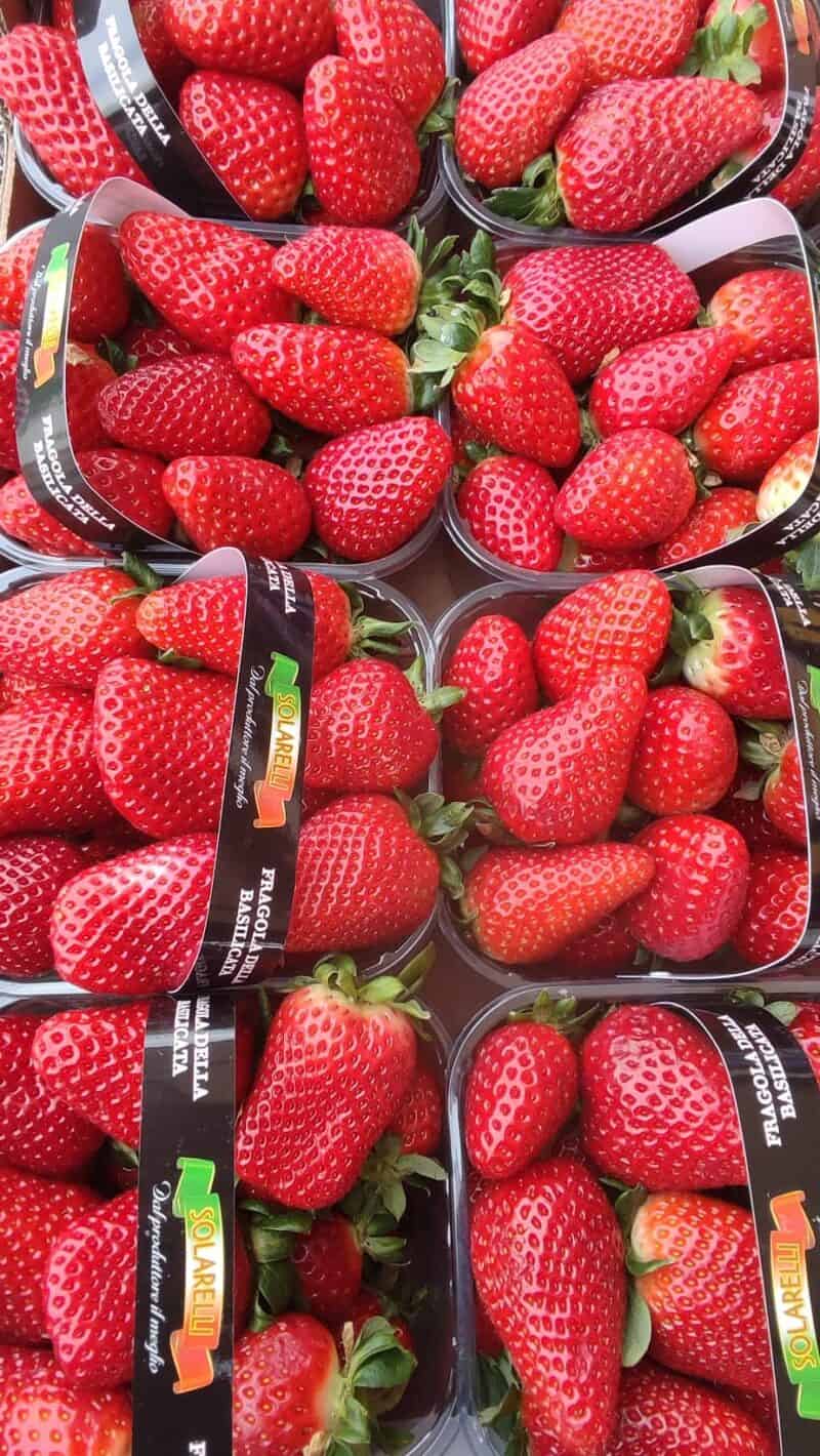 Offerta!!Fragole Candonga Basilicata le top d'Italia! Croccanti e gustosissime!)