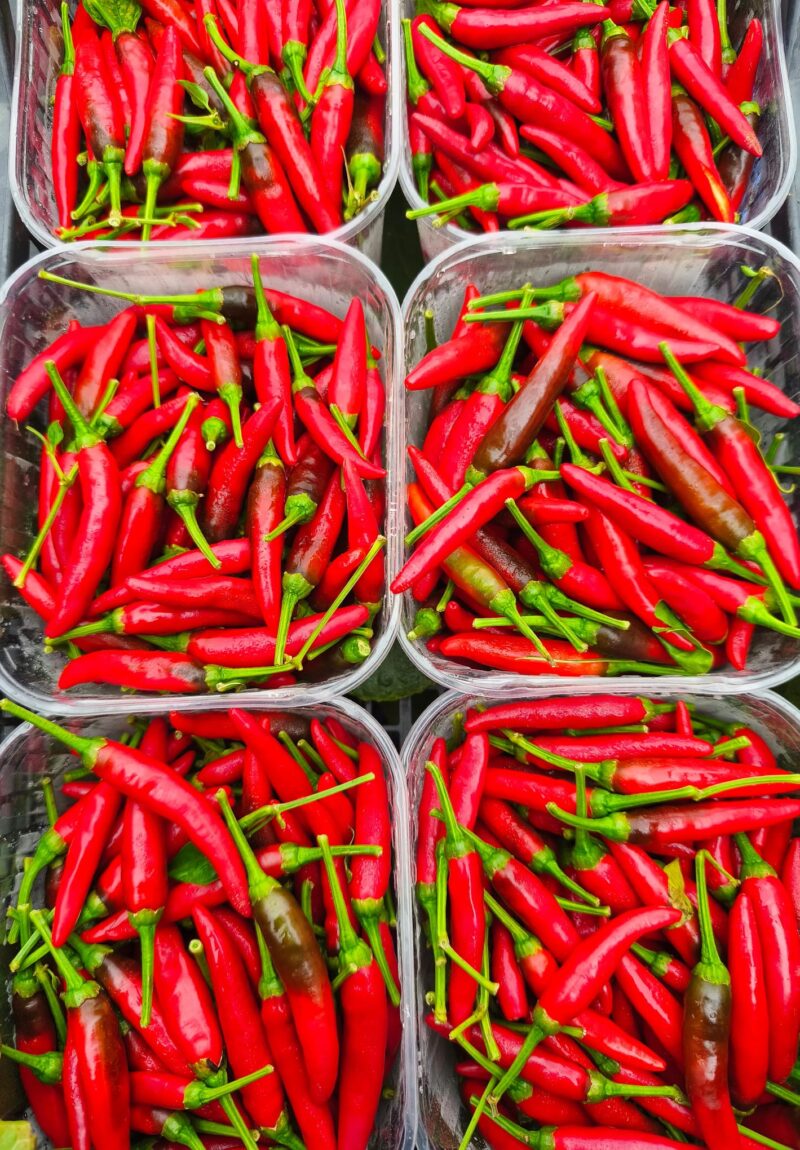 Peperoncini piccanti freschi KM0!