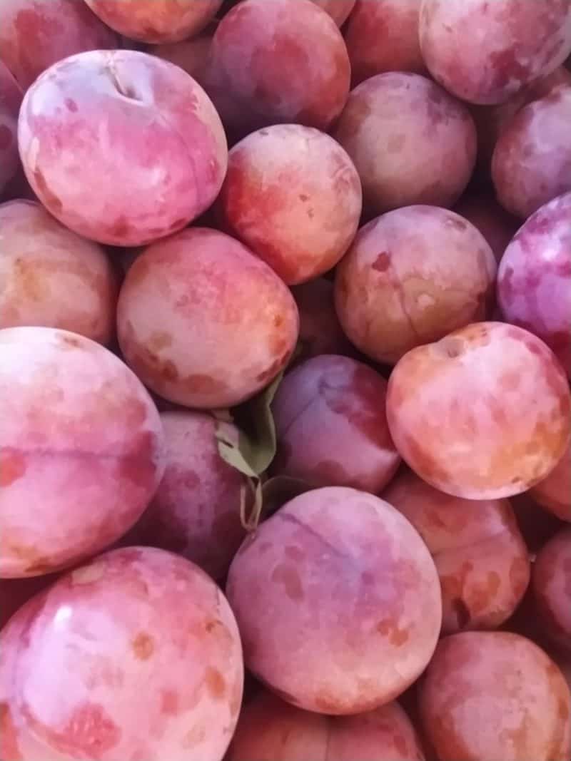 Susine "Ruby" Rosa a polpa rosa km0 speciali !!