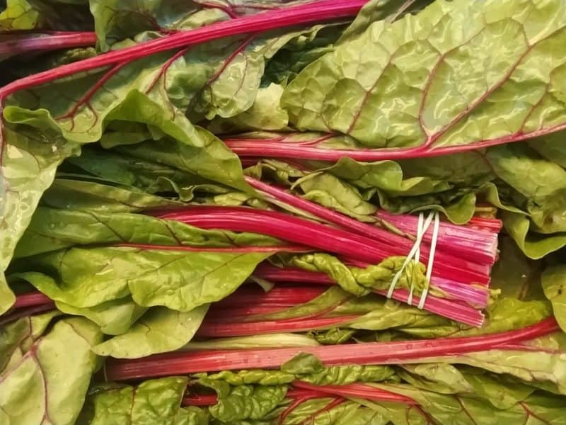 Bietola costa ROSSA nostra produzione