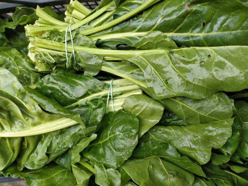 Bietola costa verde fine Bio AZ Vivaldi Casciavola (Pi)