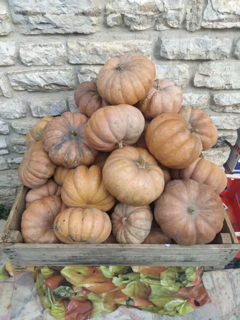 Offerta Zucche nostra produzione commestibili anche per Halloween 🎃🎃