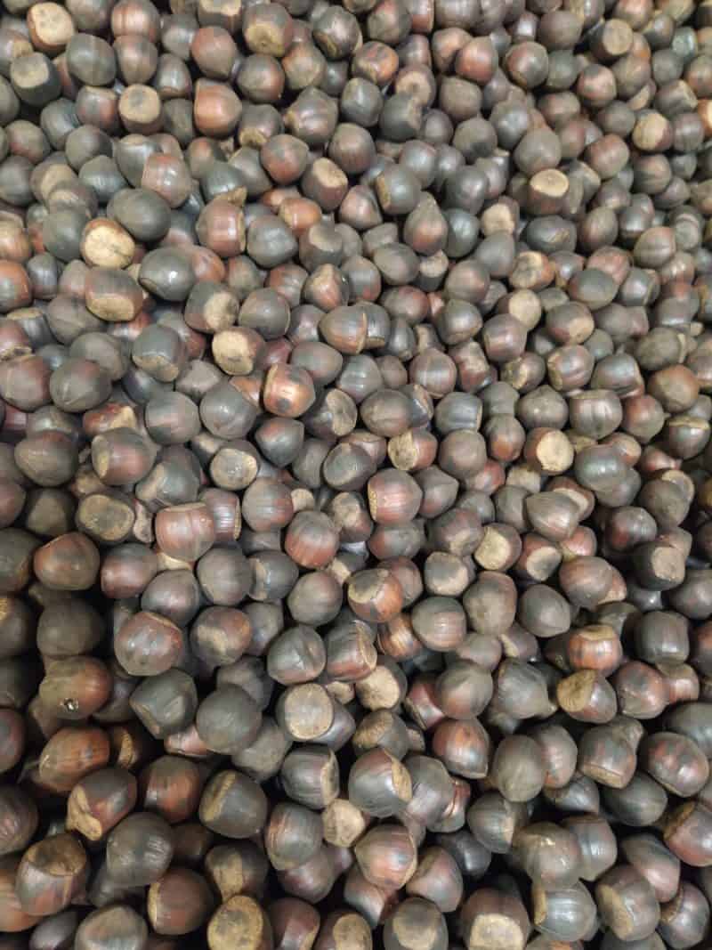 Nocciole tostate nuove