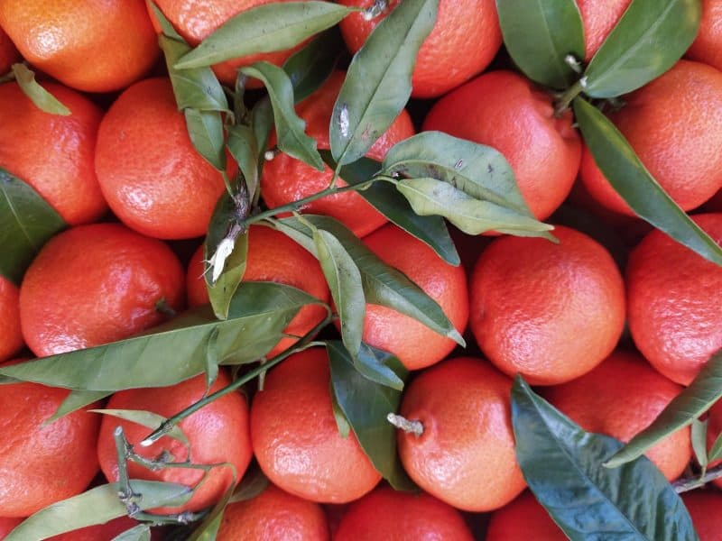 Clementine "Orri" Le più buone di tutta la stagione!!