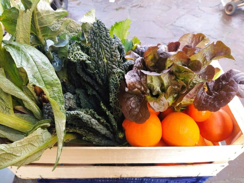 NOVITÀ!!! CASSETTA DI STAGIONE MISTO FRUTTA E VERDURA (ABBONDANTE)