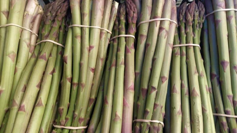 Asparagi misura Extra Bolgheri km0