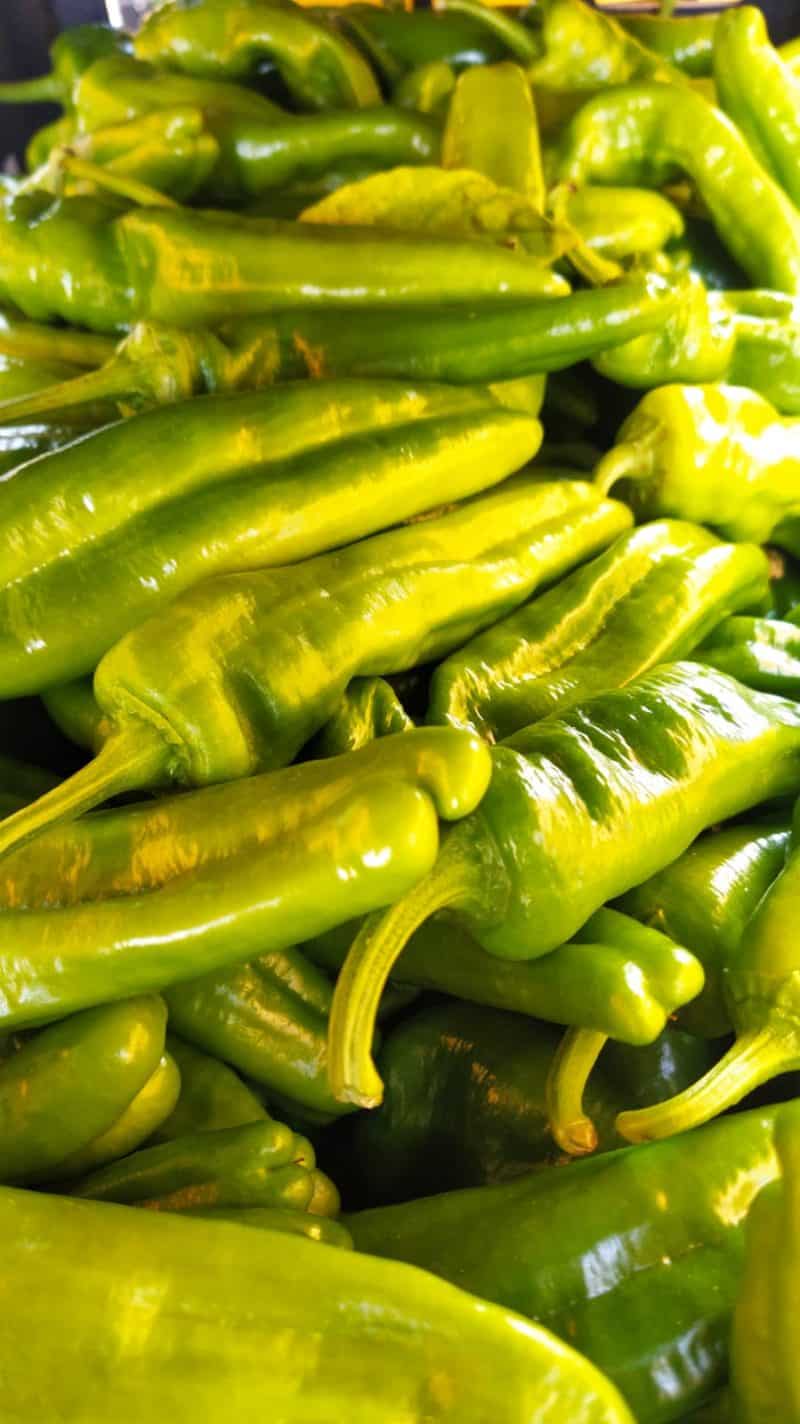 Peperoni Friggitelli nuovi