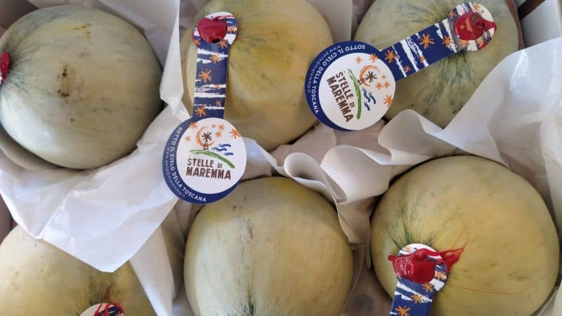 OFFERTA Melone (o popone) liscio KM 0!!! (Più piccoli ma favolosi)