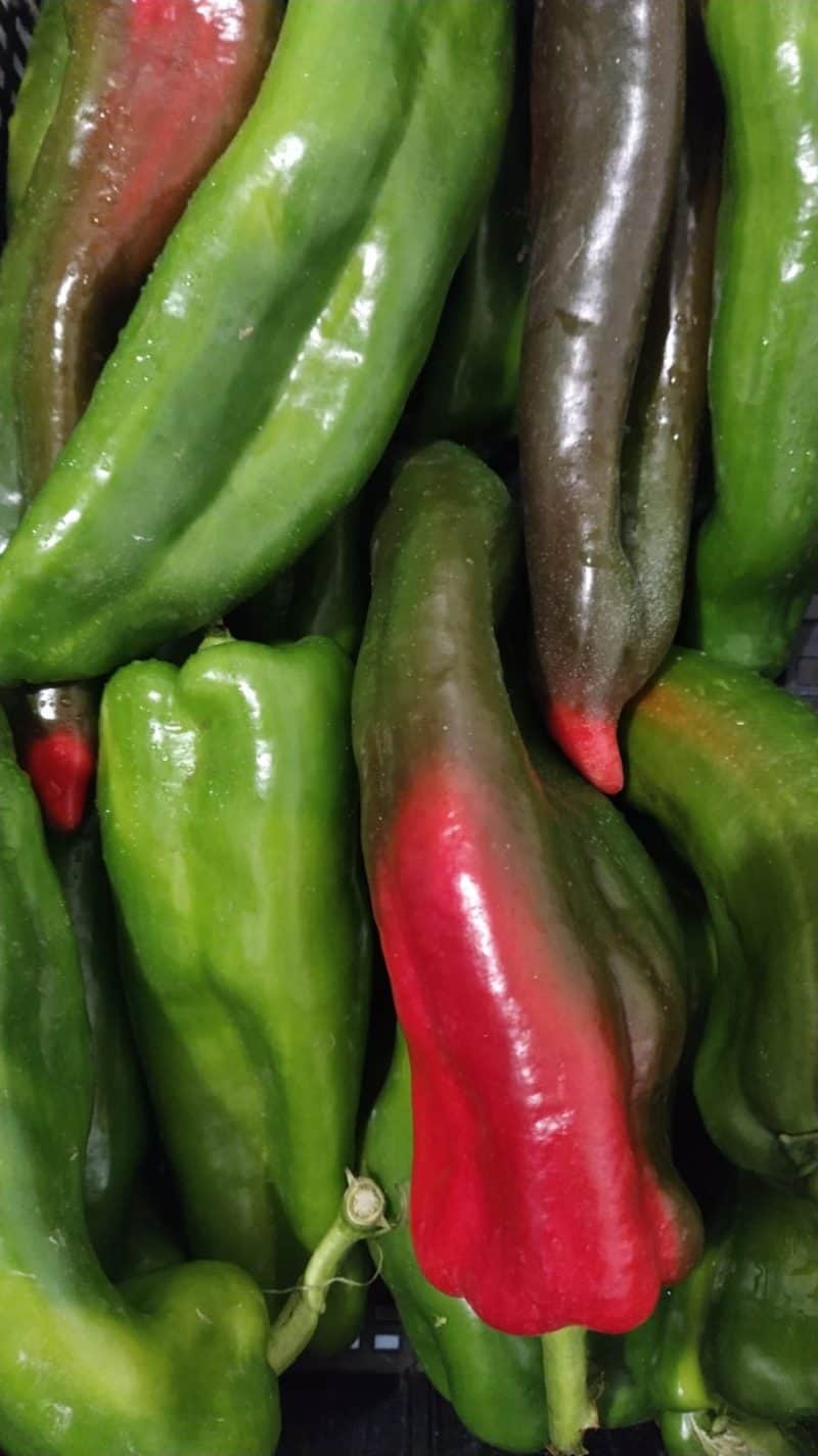 Peperoni verdi a "Corno" NOSTRALI