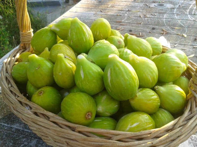Fichi Verdi o neri km0 favolosi!
