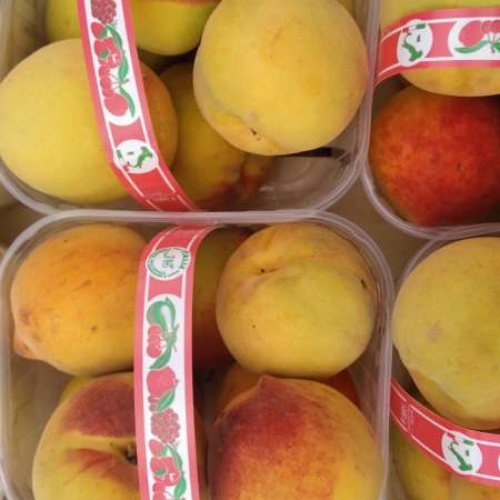 Pesche Cotogne o percoche Km0 misura grande!