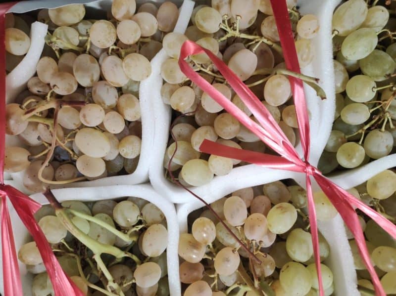 Uva Galletta (o Pizzutella) II scelta (chicco più piccolo ma buonissima!)