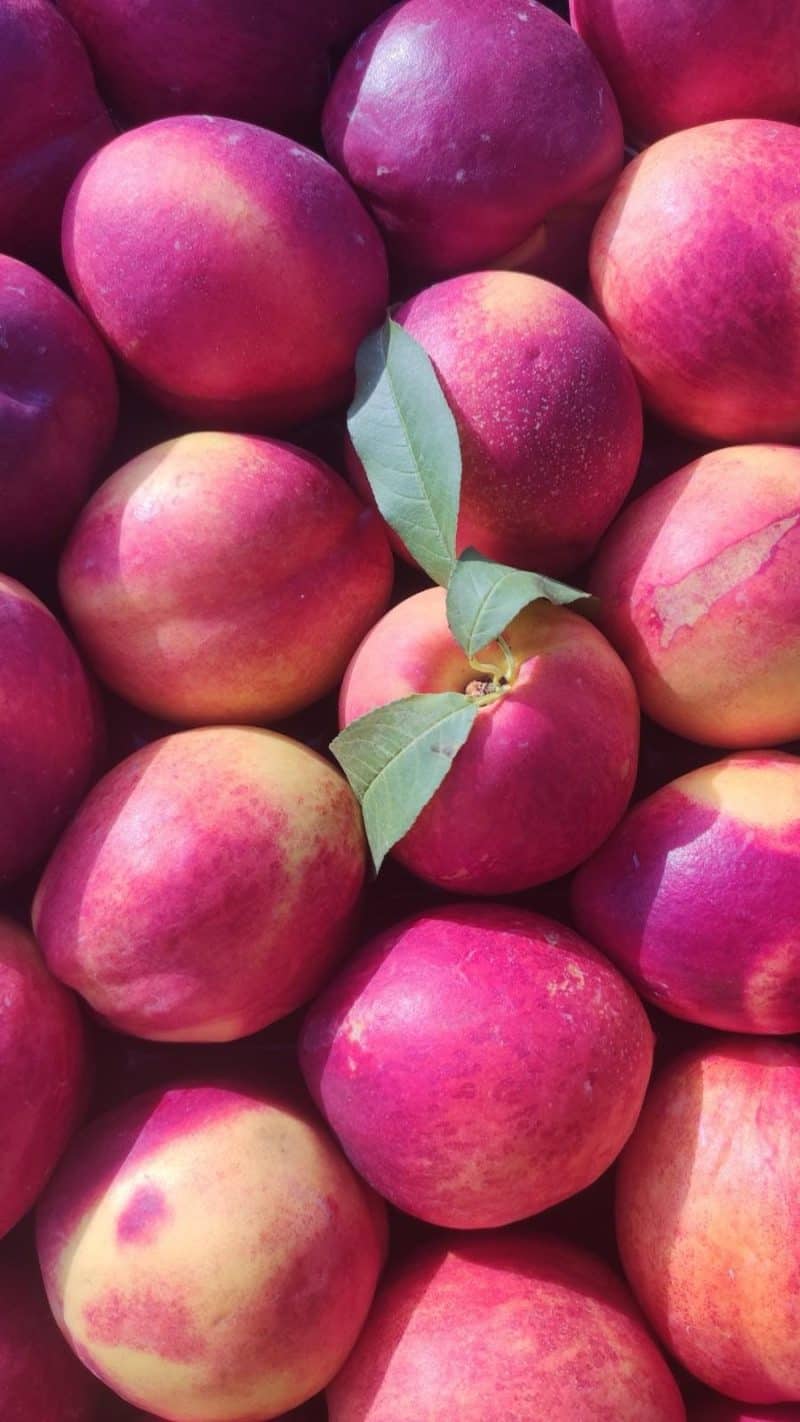 Prime Pesche Noci I scelta Puglia