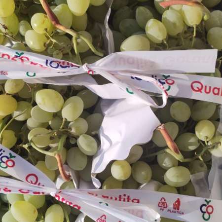 OFFERTA!! Uva Italia II scelta