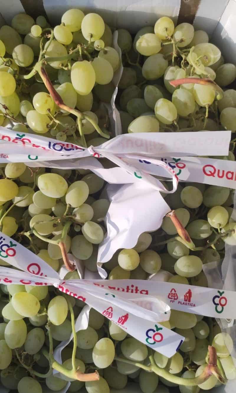 OFFERTA!! Uva Italia II scelta