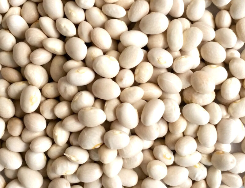 Fagioli secchi: Tondino Km0