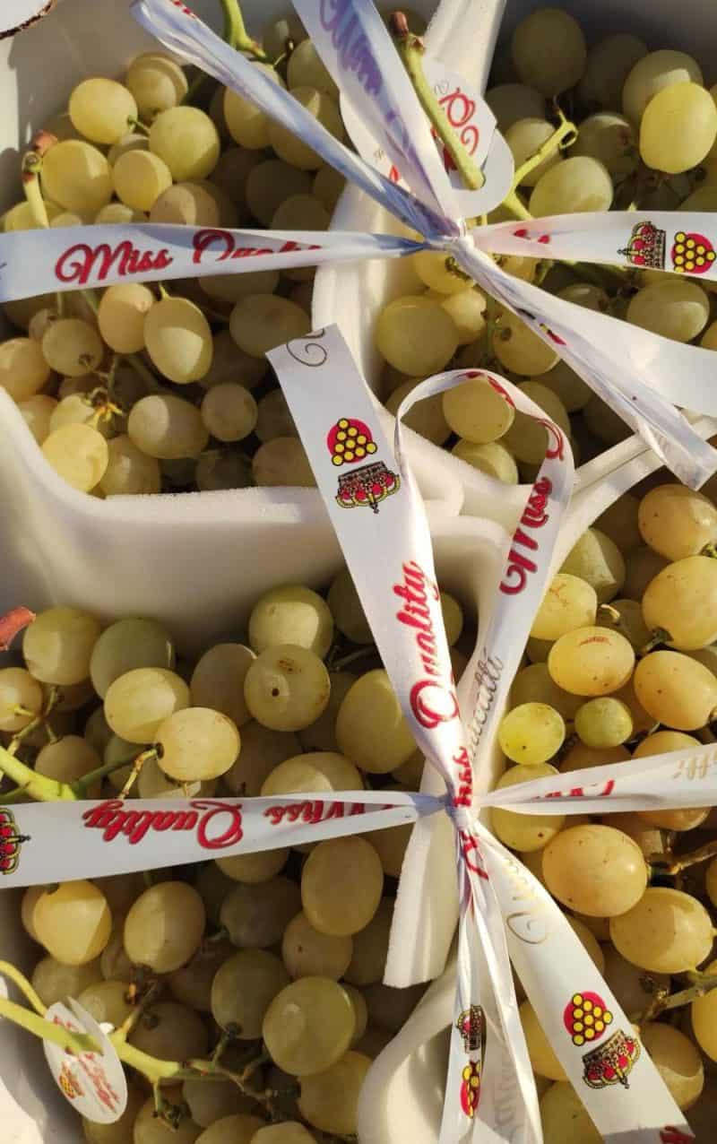 Uva "Moscato" Sicilia PRIMA SCELTA!