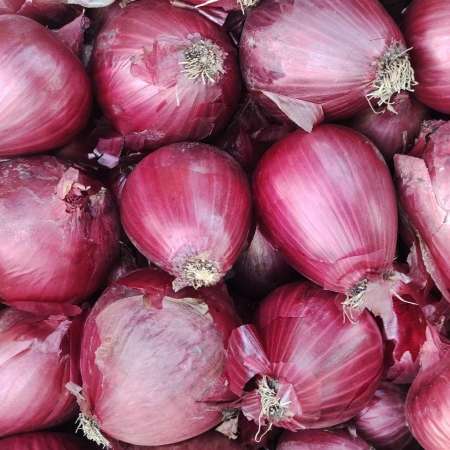 Cipolle secche Rosse di Tropea!!!