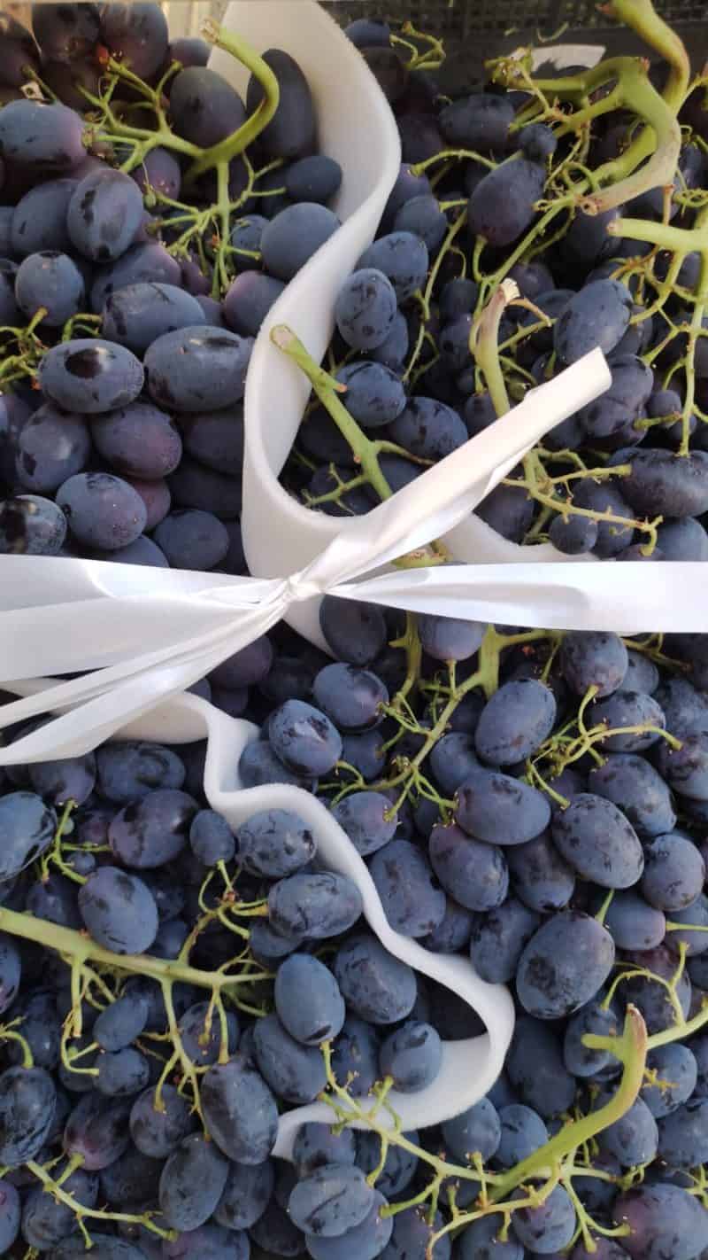 Uva nera bella dolcina e croccante Sicilia