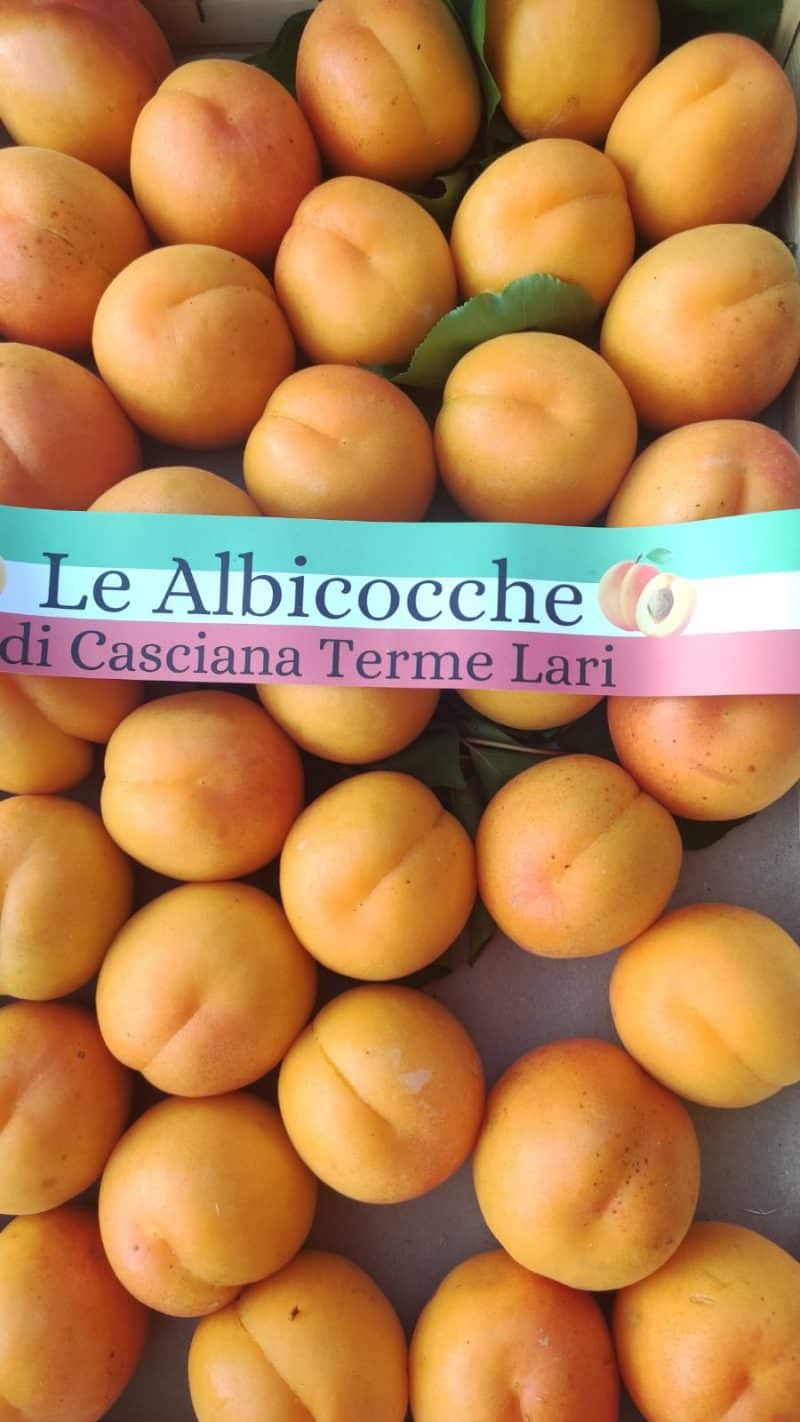 Albicocche "Orange" Casciana Terme Primissima scelta, le prime veramente spettacolari!!
