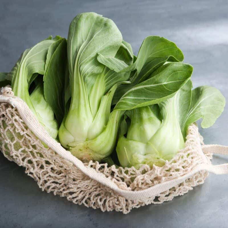Pak-Choi o Cavolo Cinese Az agr Vivaldi Cascina(Pi)tenerissimi
