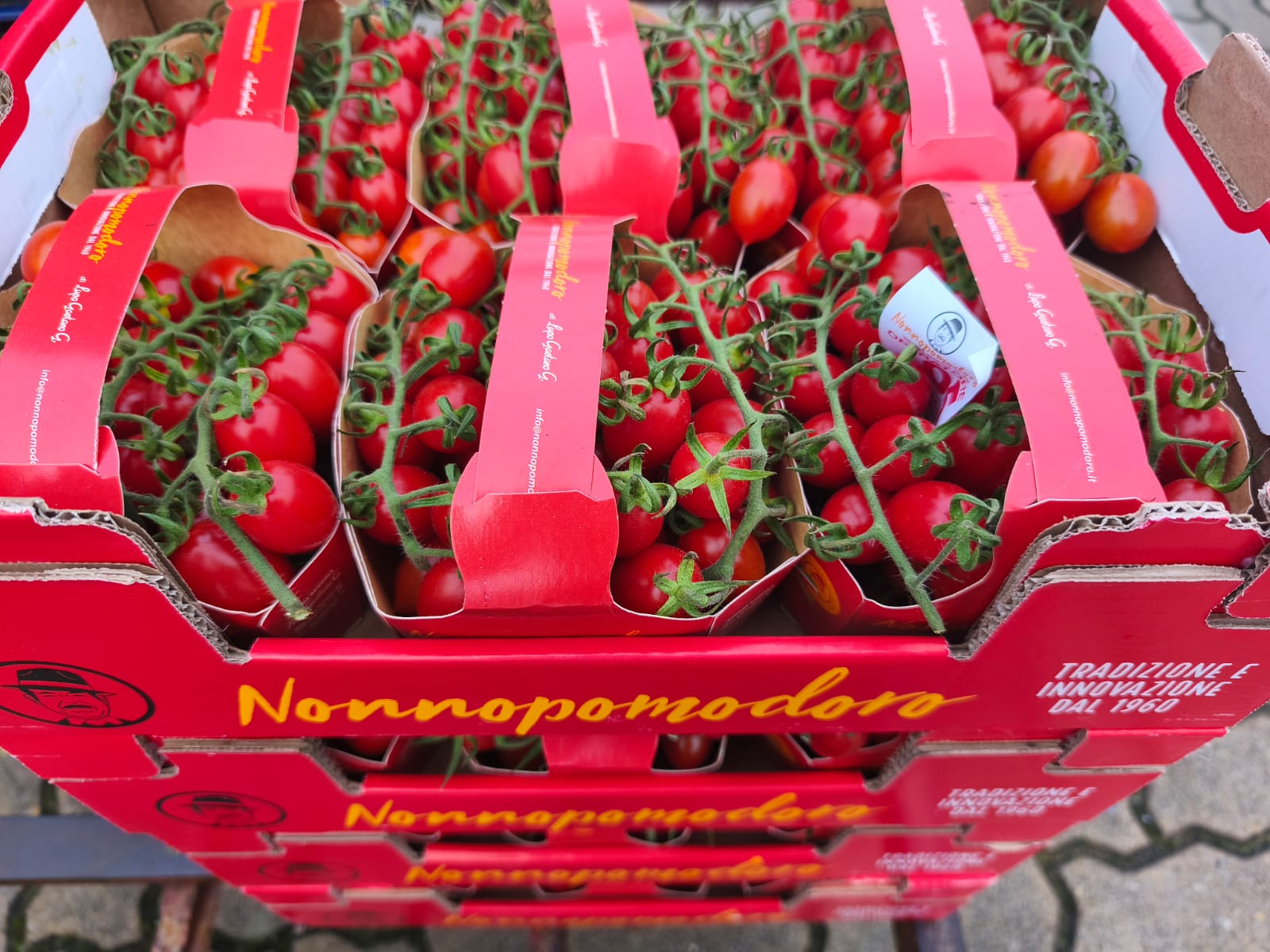 Pomodorino Datterino Rosso primissima scelta tra "nonno pomodoro" dolcissimi a livelli che neanche i nostri di stagione!!